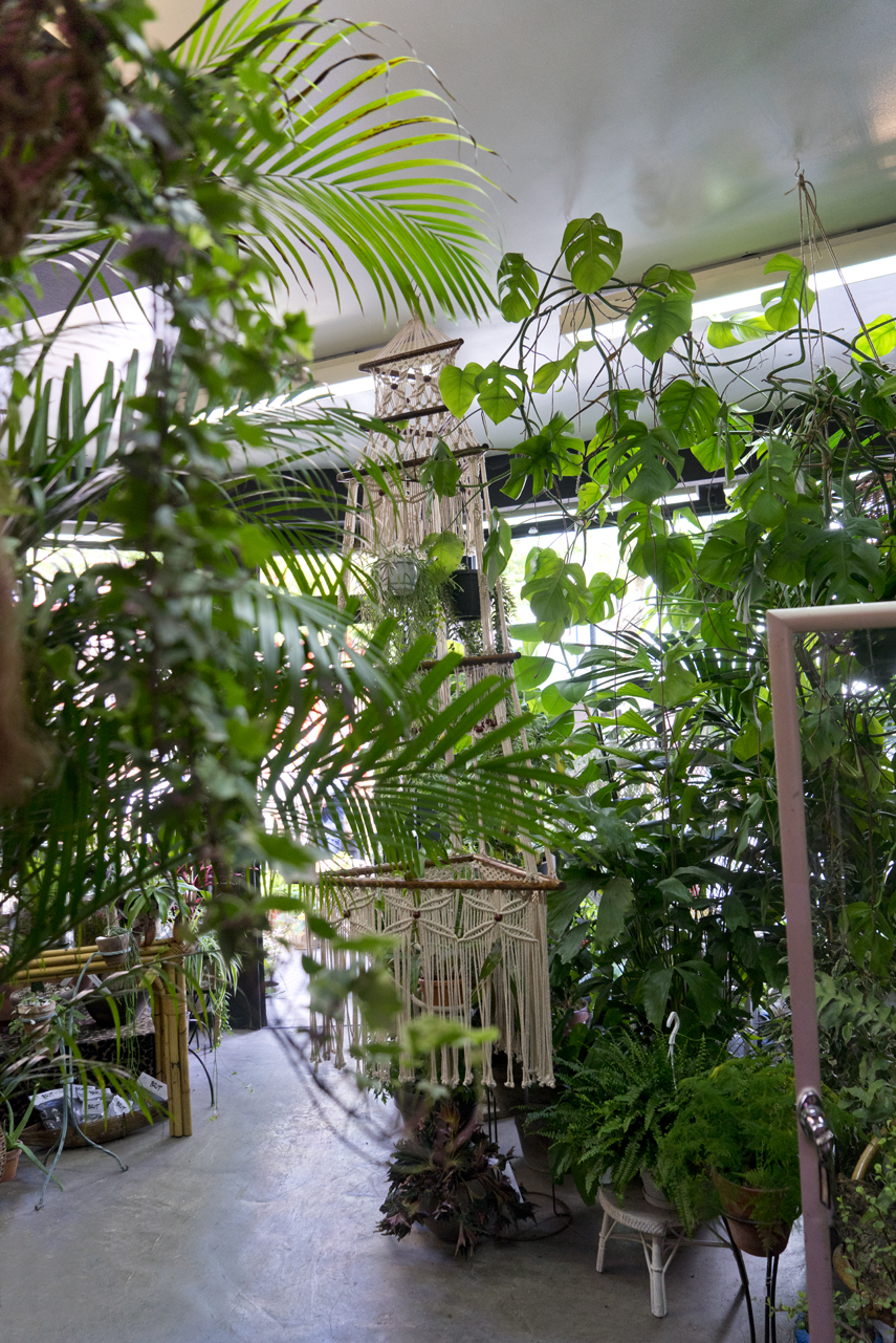 Urban Jungle Bloggers: BRUT plant shop in Brussels