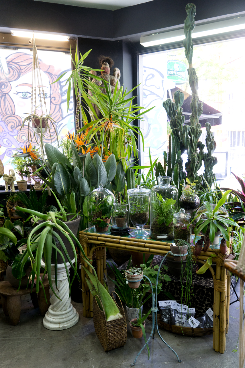 Urban Jungle Bloggers: BRUT plant shop in Brussels