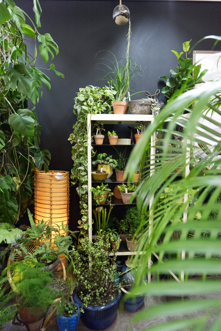 Urban Jungle Bloggers: BRUT plant shop in Brussels