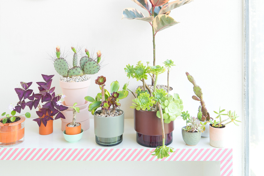 Urban Jungle Bloggers - Lucie Kaas Gro plant pot