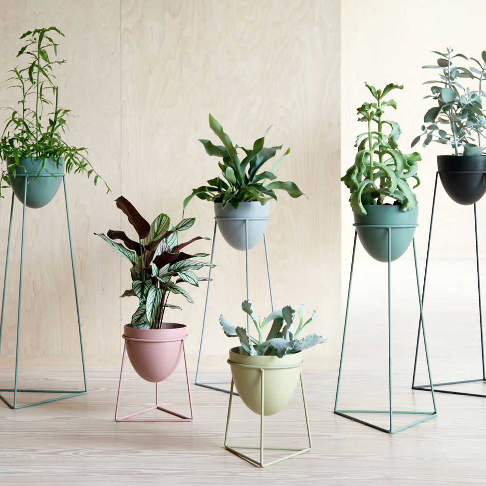 Our Top Eight Favourite Plant Stands Our Top Eight Favourite Plant Stands