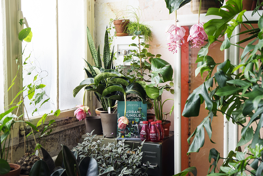 Urban Jungle Bloggers #urbanjunglebook in French booklaunch at Mama Petula in Paris