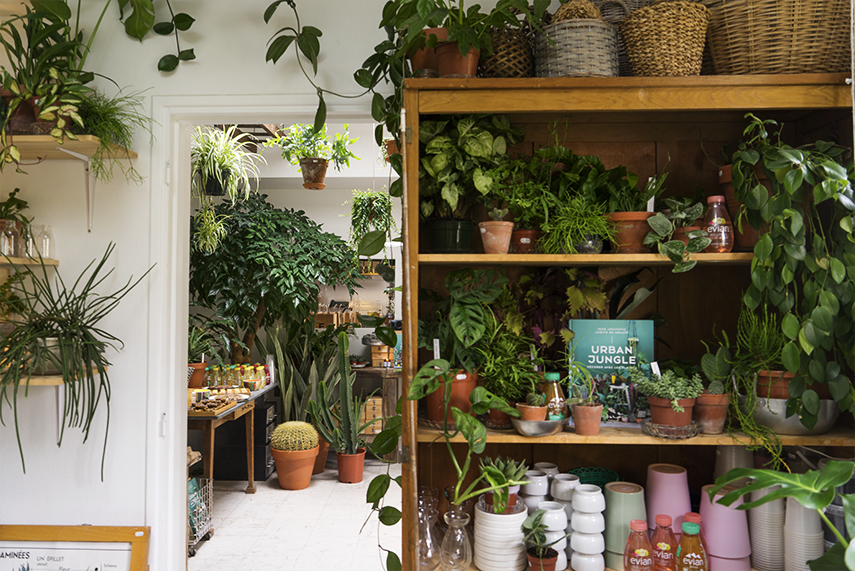 Urban Jungle Bloggers #urbanjunglebook in French booklaunch at Mama Petula in Paris