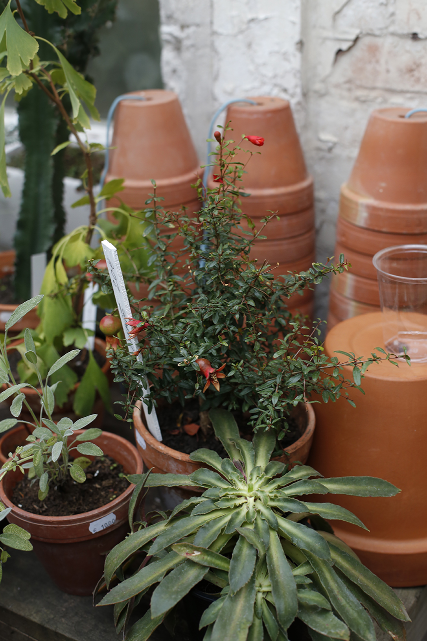 Urban Jungle Bloggers #urbanjunglebook in French booklaunch at Mama Petula in Paris