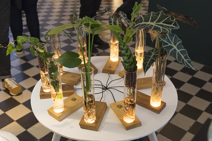 Urban Jungle Bloggers - Dutch Design Week 2017