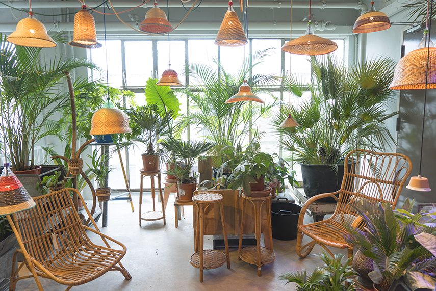 Urban Jungle Bloggers - Dutch Design Week 2017