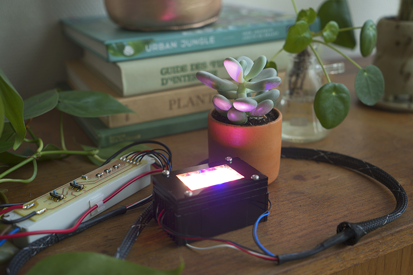Urban Jungle Bloggers - Start something bright with Osram Opto Semiconductors