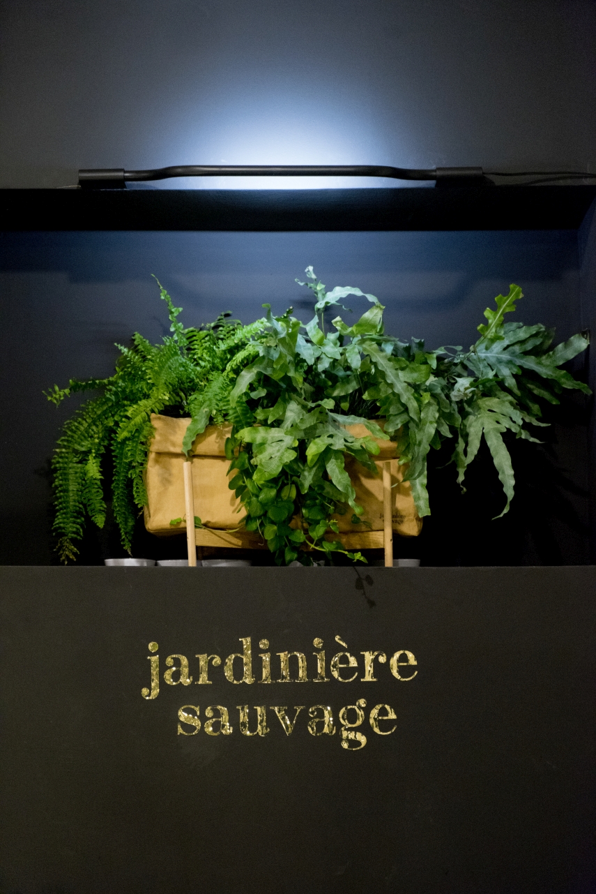 Urban Jungle Bloggers - Jardinière Sauvage pop-up shop in Paris #urbanjunglebloggers