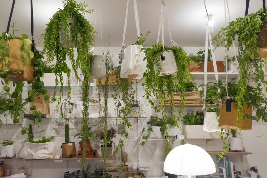 Urban Jungle Bloggers - Jardinière Sauvage pop-up shop in Paris #urbanjunglebloggers