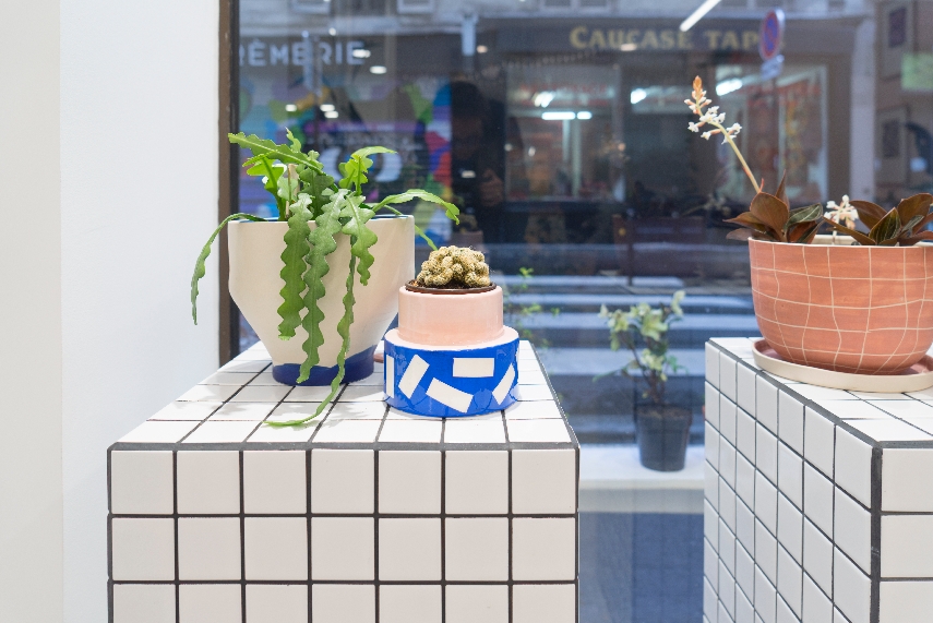 Urban Jungle Bloggers Leaf Plant Shop in Paris #urbanjunglebloggers #plantshop #paris