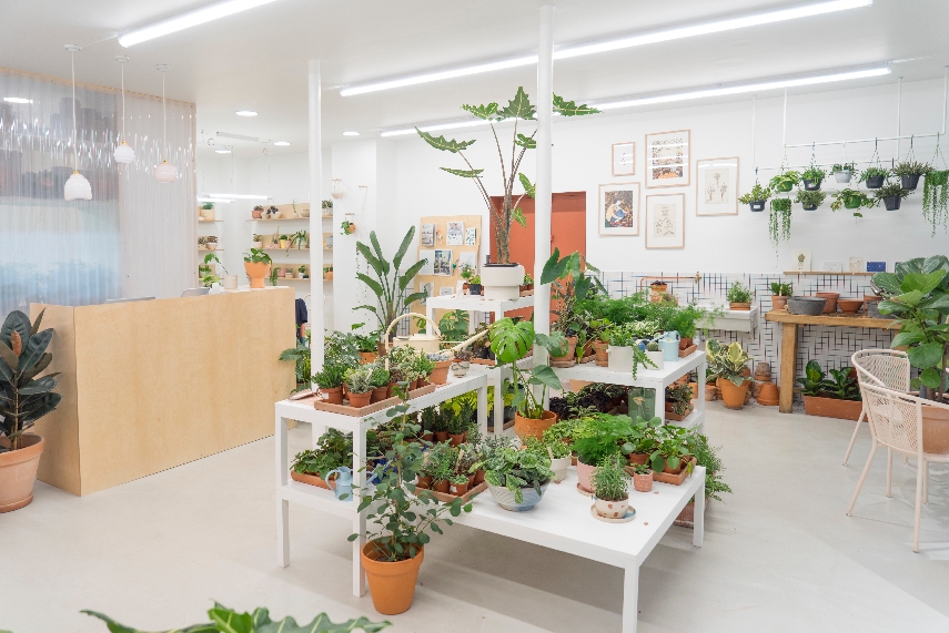 Urban Jungle Bloggers Leaf Plant Shop in Paris #urbanjunglebloggers #plantshop #paris