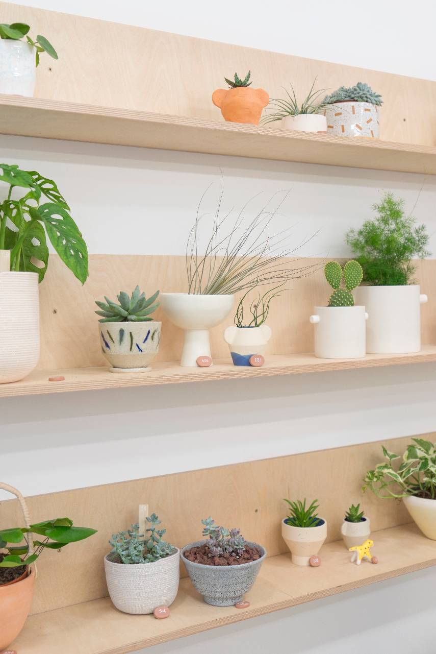 Urban Jungle Bloggers Leaf Plant Shop in Paris #urbanjunglebloggers #plantshop #paris