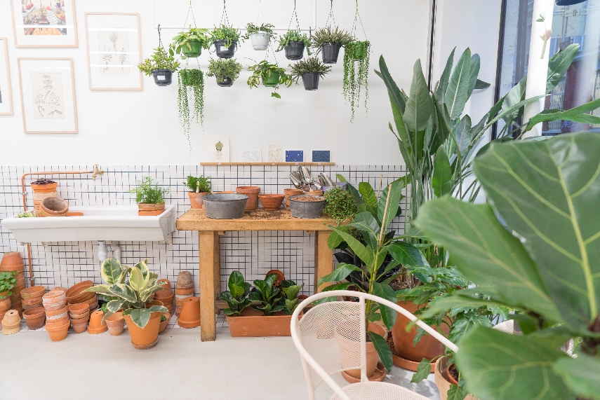 Urban Jungle Bloggers Leaf Plant Shop in Paris #urbanjunglebloggers #plantshop #paris