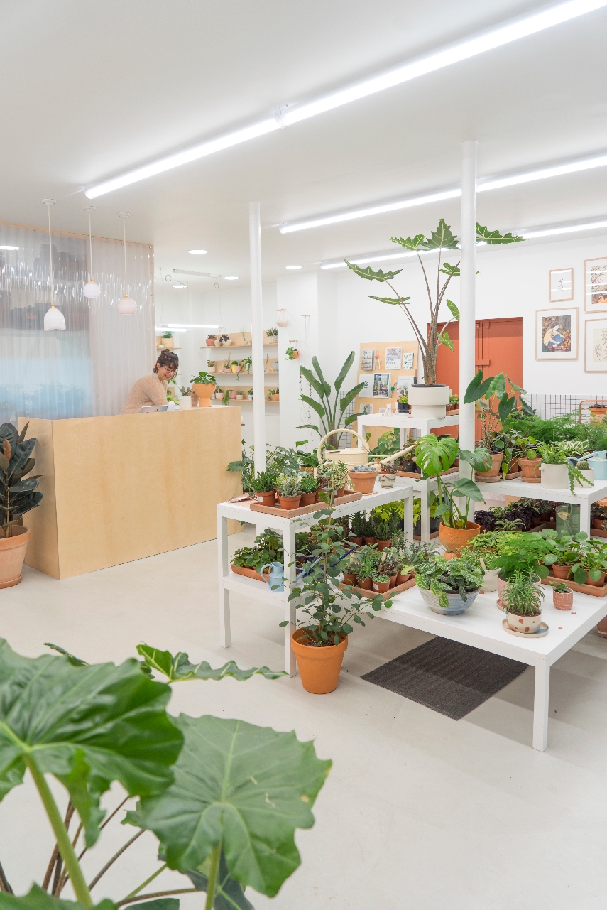 Leaf Plant Shop in Paris
