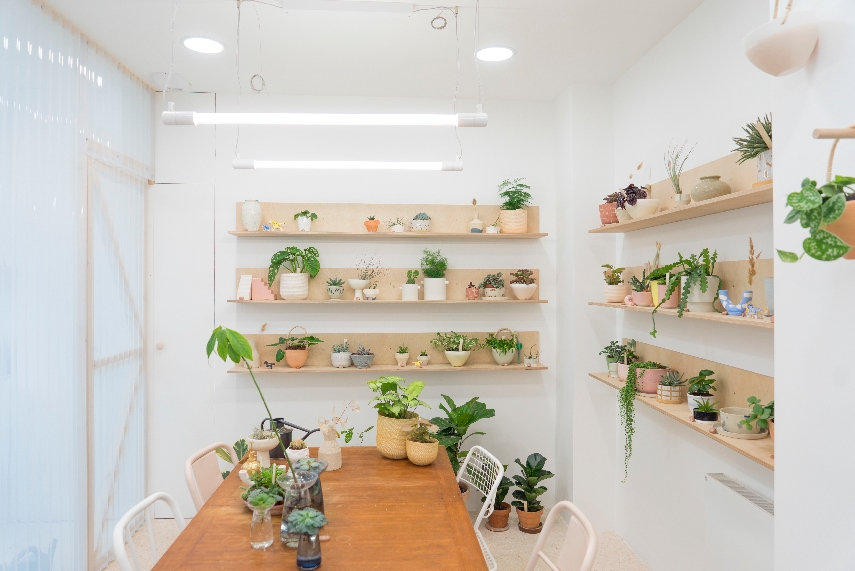 Urban Jungle Bloggers Leaf Plant Shop in Paris #urbanjunglebloggers #plantshop #paris