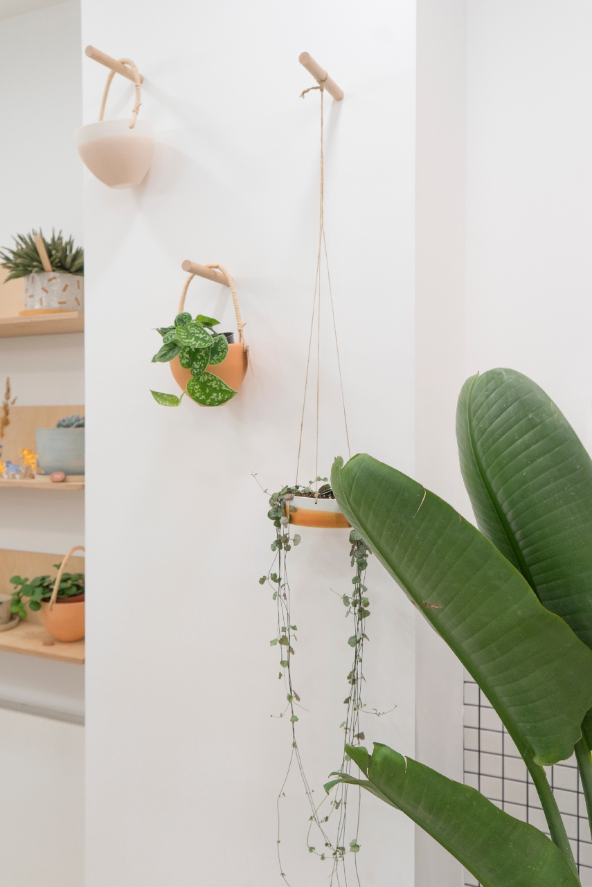 Urban Jungle Bloggers Leaf Plant Shop in Paris #urbanjunglebloggers #plantshop #paris