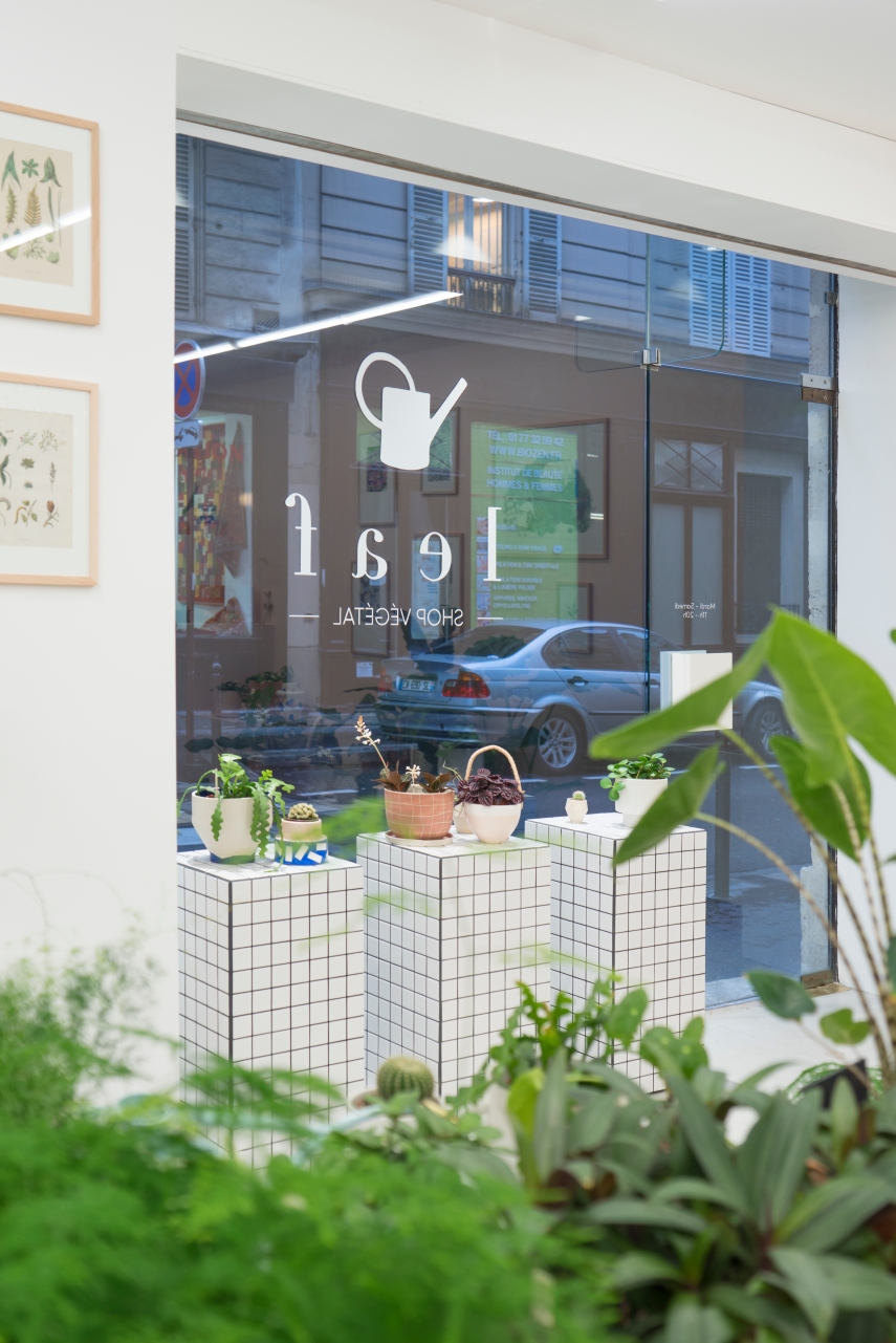 Urban Jungle Bloggers Leaf Plant Shop in Paris #urbanjunglebloggers #plantshop #paris