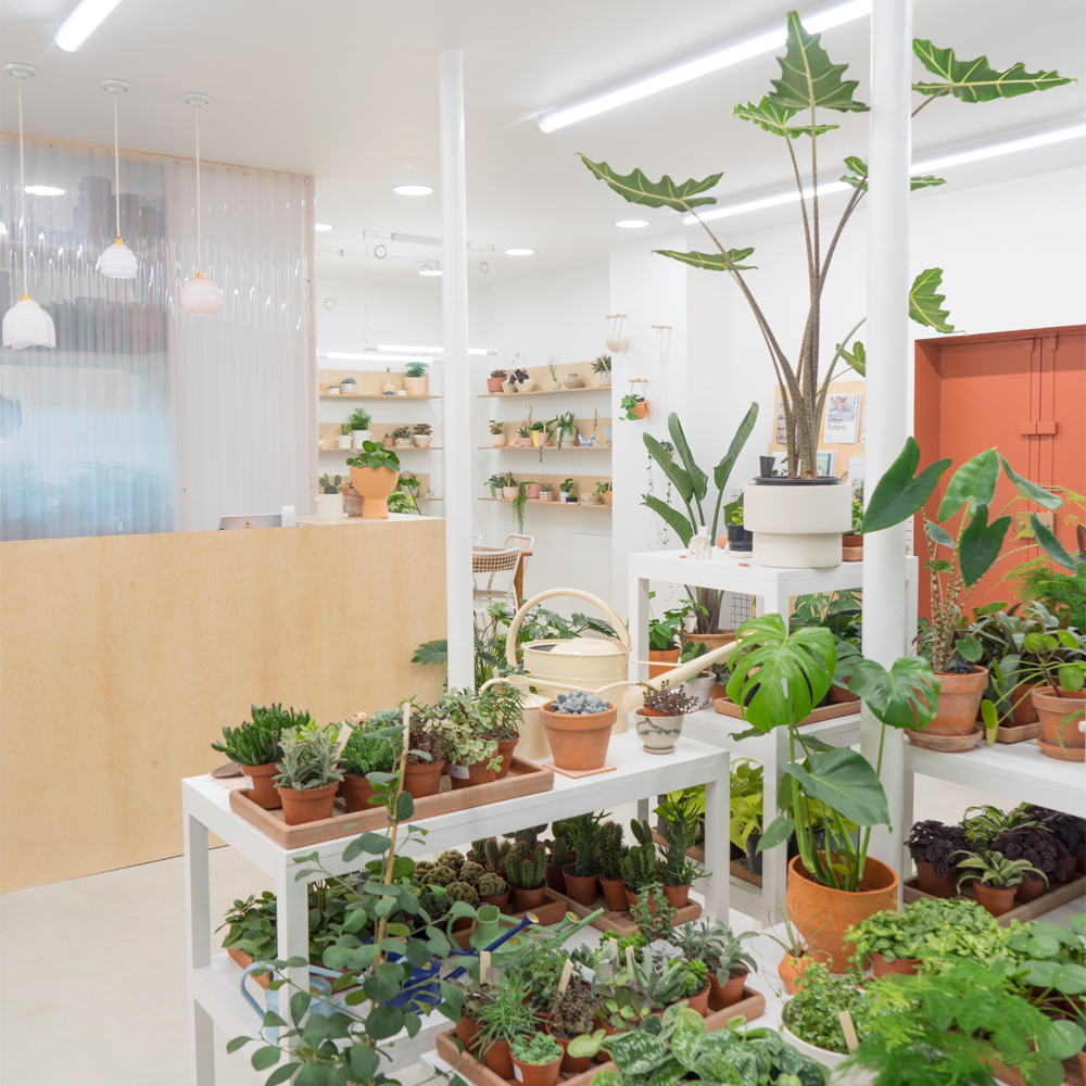 Urban Jungle Bloggers Leaf Plant Shop in Paris #urbanjunglebloggers #plantshop #paris