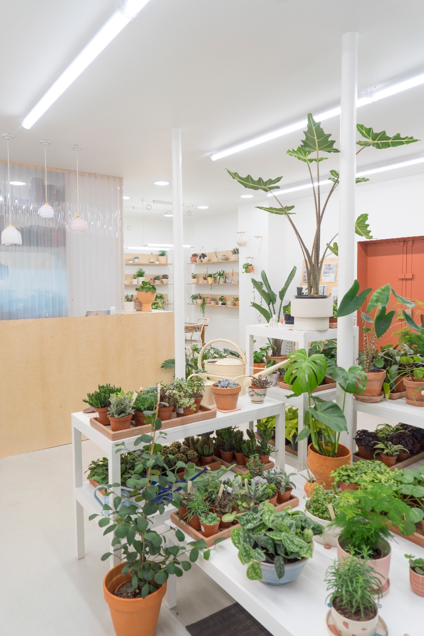 Urban Jungle Bloggers Leaf Plant Shop in Paris #urbanjunglebloggers #plantshop #paris