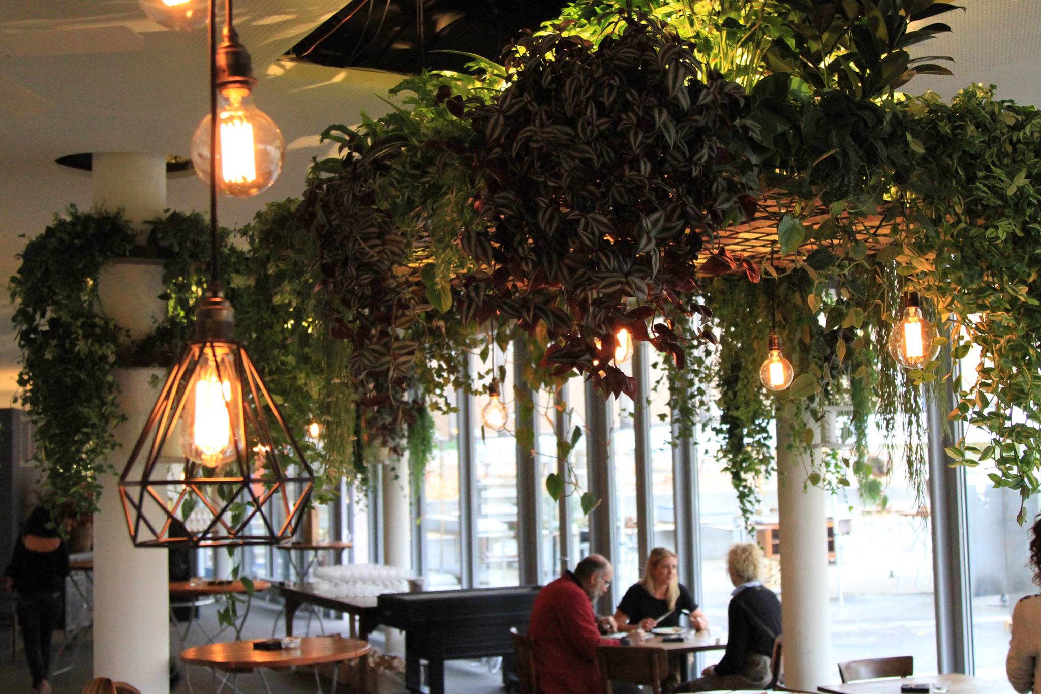 Urban Jungle Bloggers - Botanical Hotspots in Zurich, Switzerland #urbanjunglebloggers