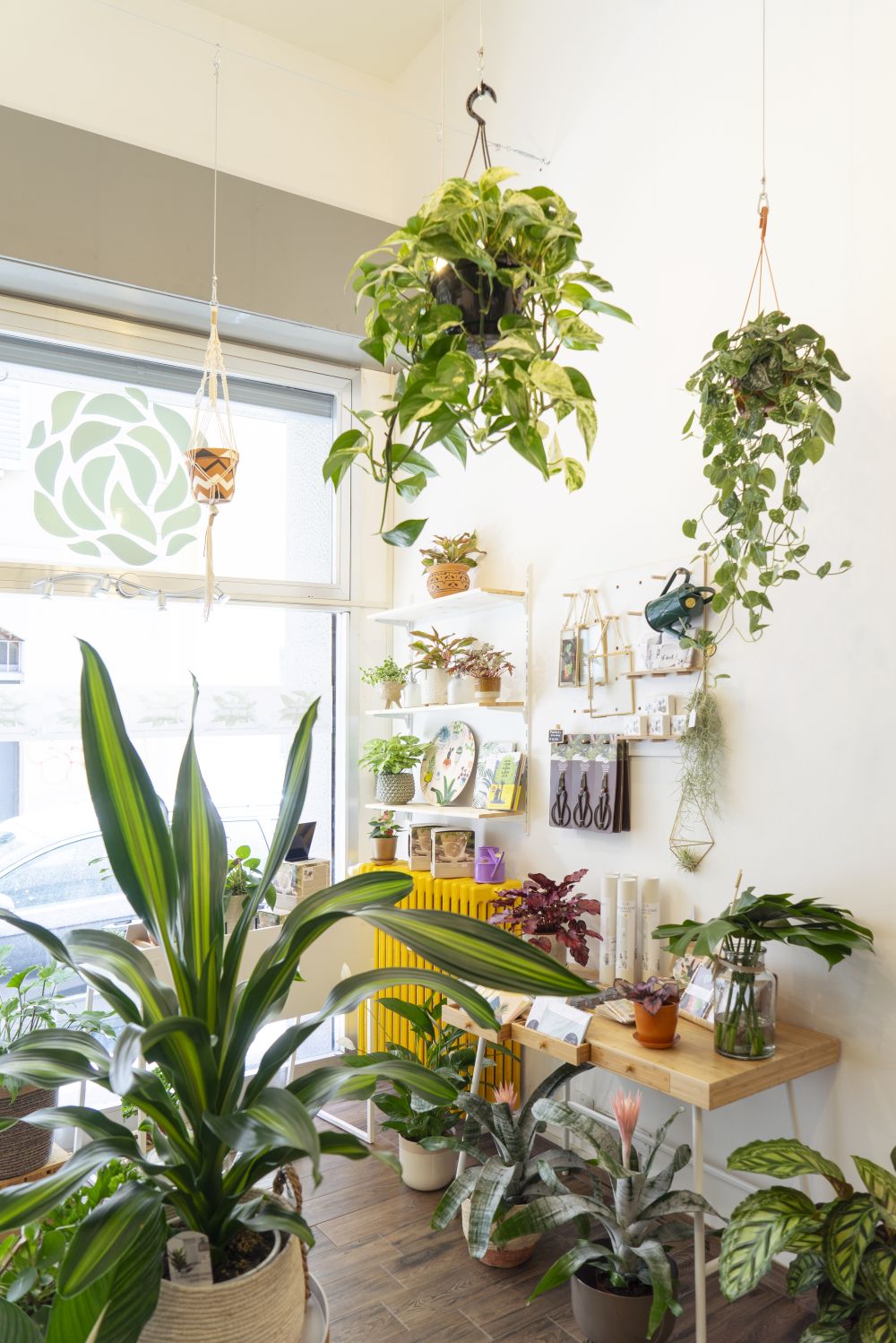 Urban Jungle Bloggers - Wild Milano plant shop in Milan #urbanjunglebloggers