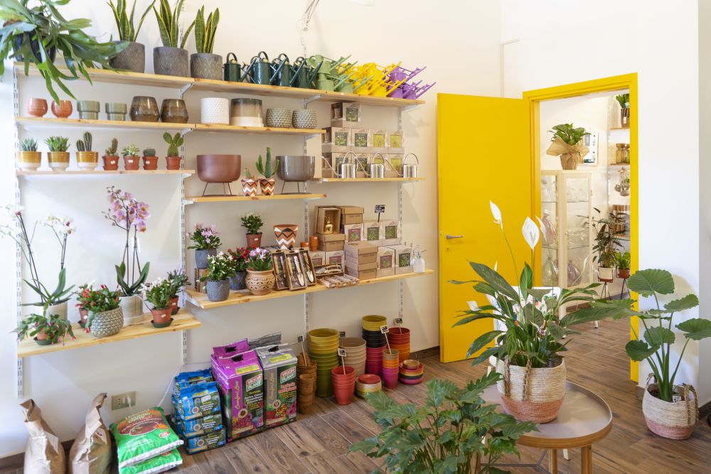 Urban Jungle Bloggers - Wild Milano plant shop in Milan #urbanjunglebloggers