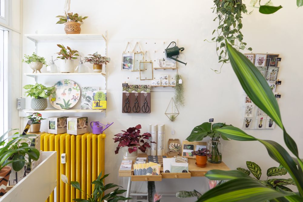 Urban Jungle Bloggers - Wild Milano plant shop in Milan #urbanjunglebloggers