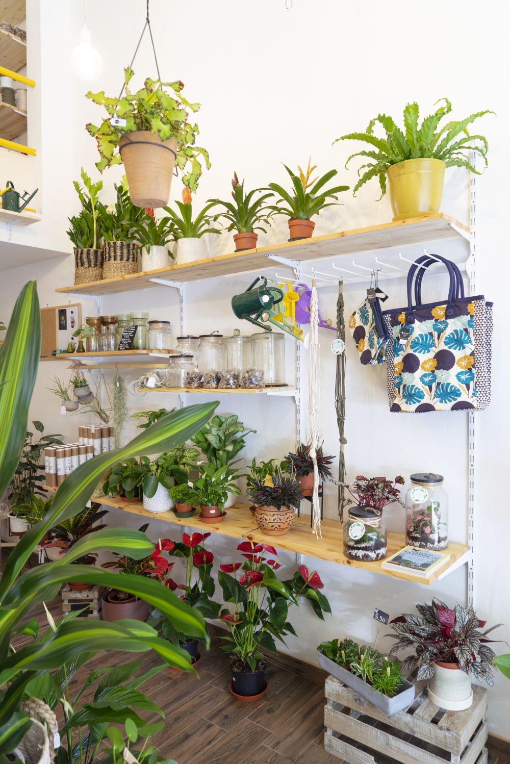 Urban Jungle Bloggers - Wild Milano plant shop in Milan #urbanjunglebloggers