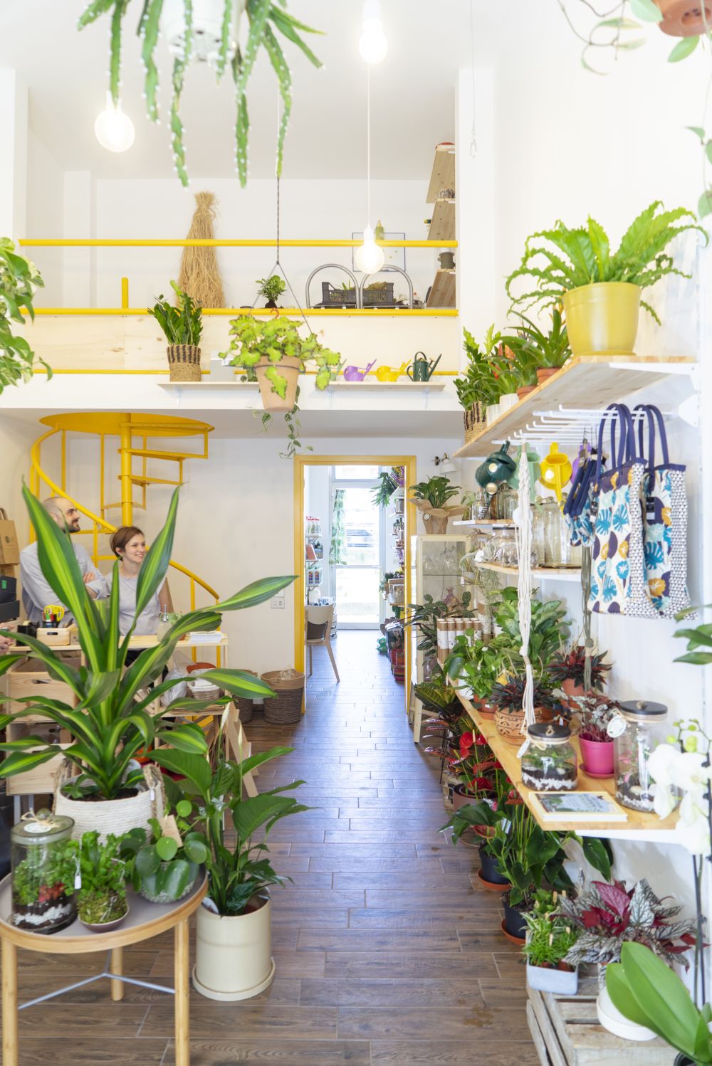 Urban Jungle Bloggers - Wild Milano plant shop in Milan #urbanjunglebloggers