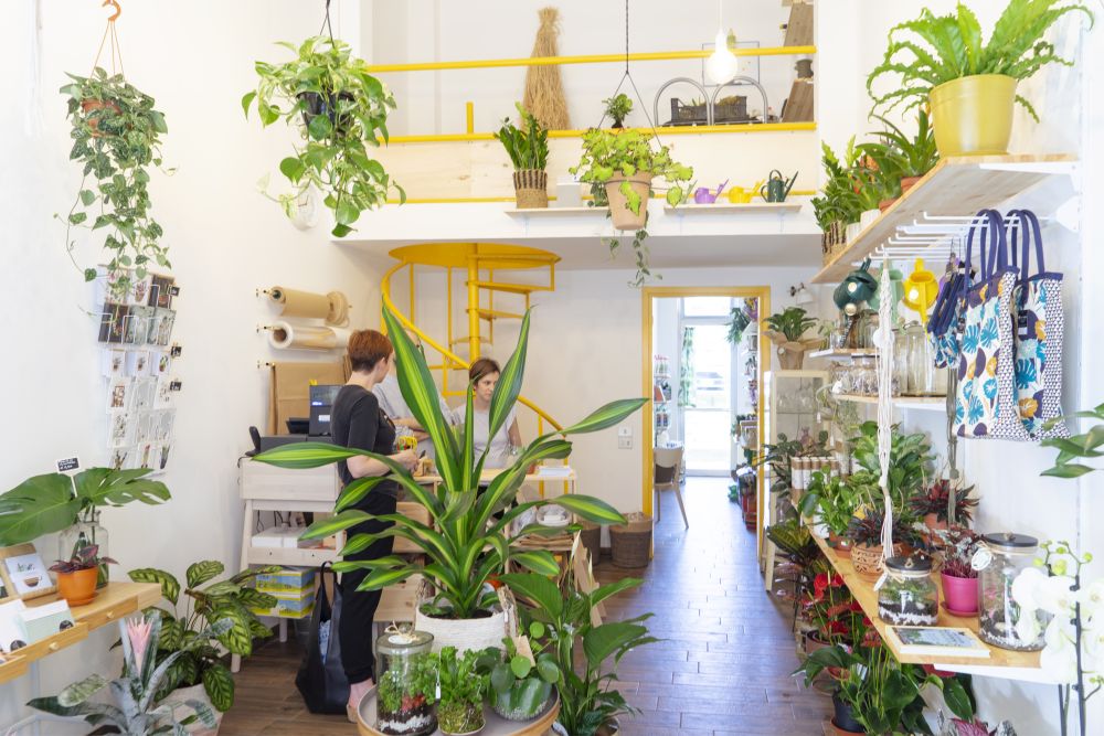 Urban Jungle Bloggers - Wild Milano plant shop in Milan #urbanjunglebloggers