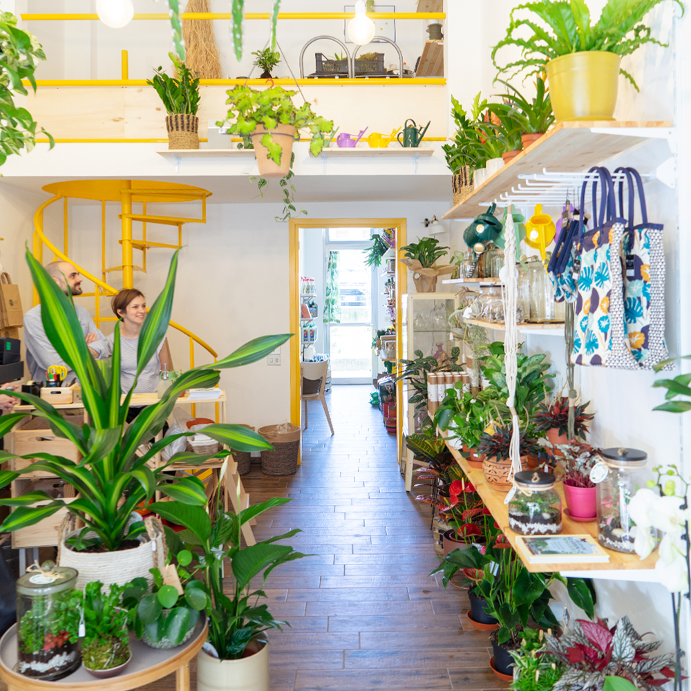 urbanjunglebloggerswildmilanofeatured Urban Jungle Bloggers