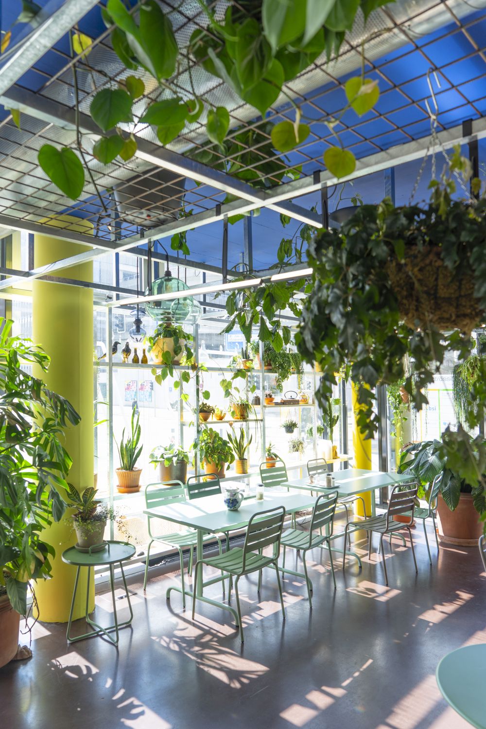 Urban Jungle Bloggers - Botanical Hotspots in Zurich, Switzerland #urbanjunglebloggers