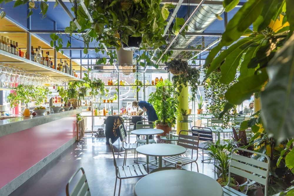 Urban Jungle Bloggers - Botanical Hotspots in Zurich, Switzerland #urbanjunglebloggers