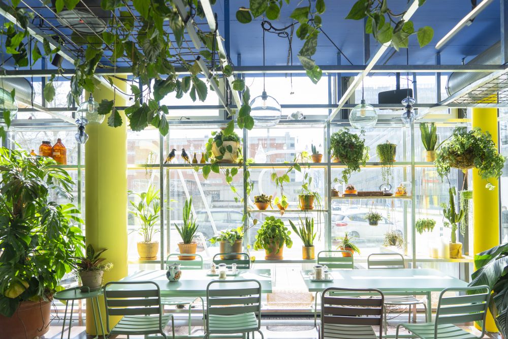 Urban Jungle Bloggers - Botanical Hotspots in Zurich, Switzerland #urbanjunglebloggers