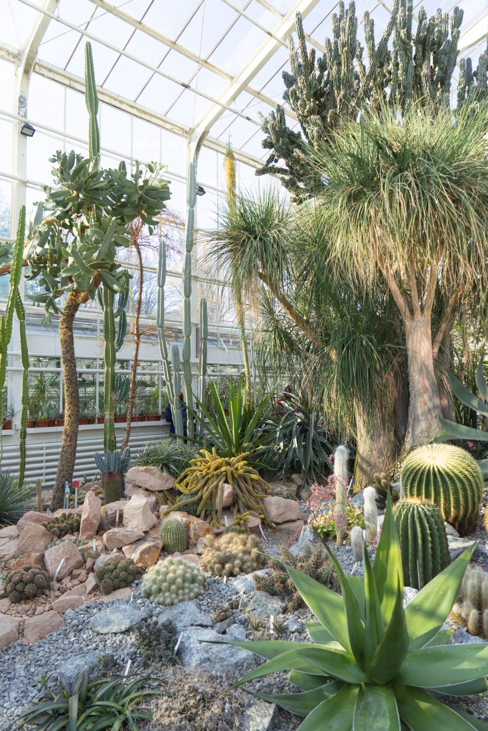 Urban Jungle Bloggers - Botanical Hotspots in Zurich, Switzerland #urbanjunglebloggers