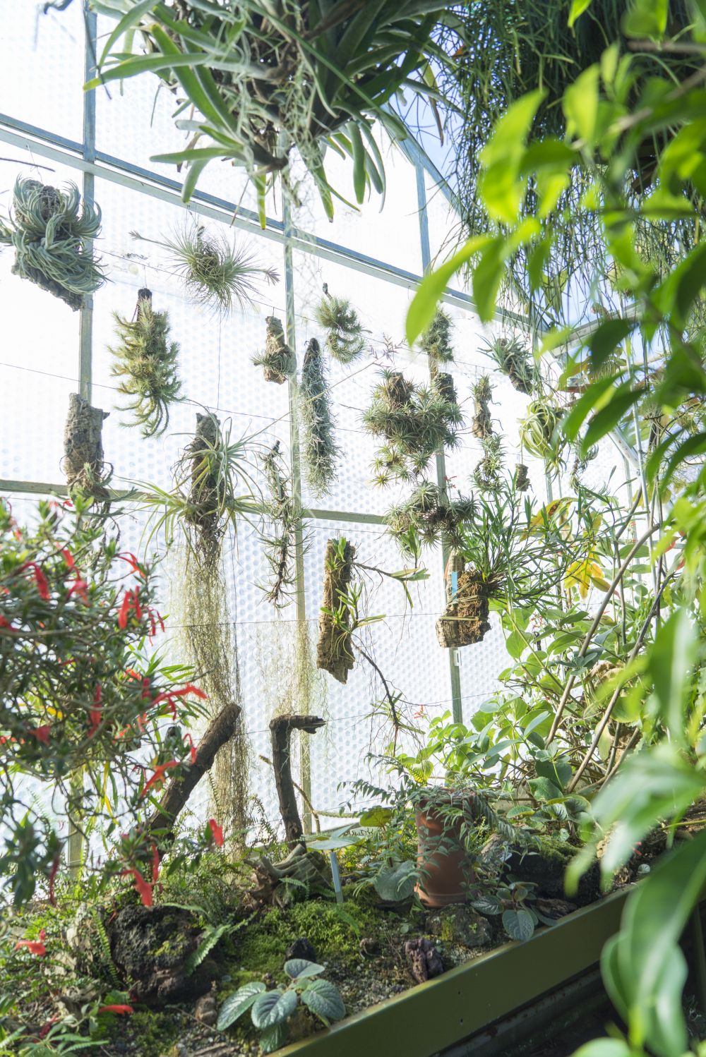 Urban Jungle Bloggers - Botanical Hotspots in Zurich, Switzerland #urbanjunglebloggers