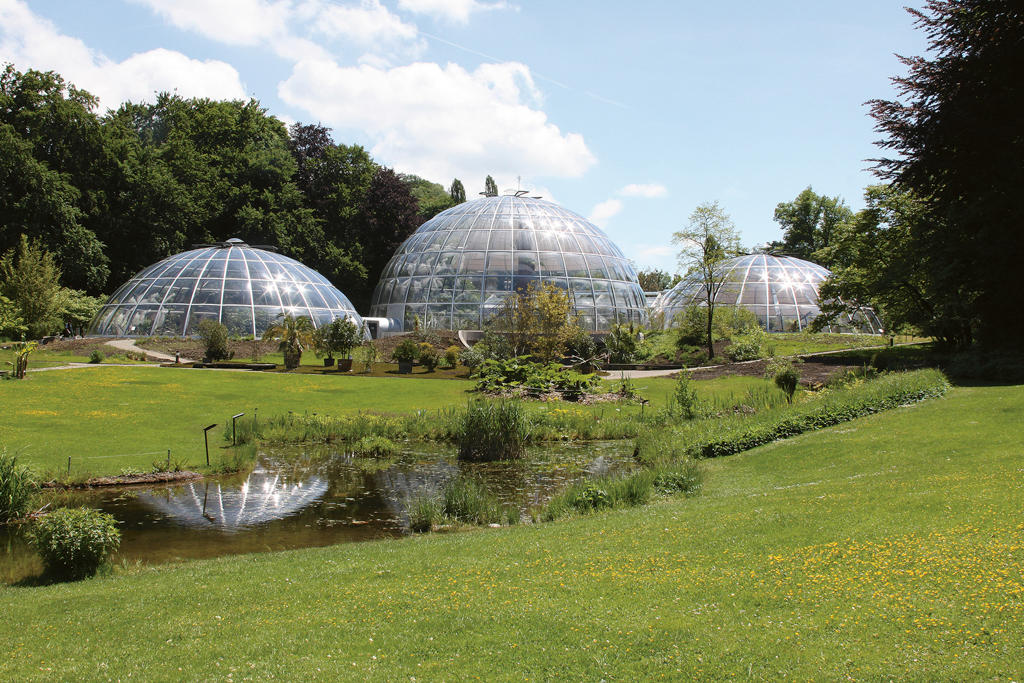 8 Botanical & Green Hotspots in Zurich, Switzerland