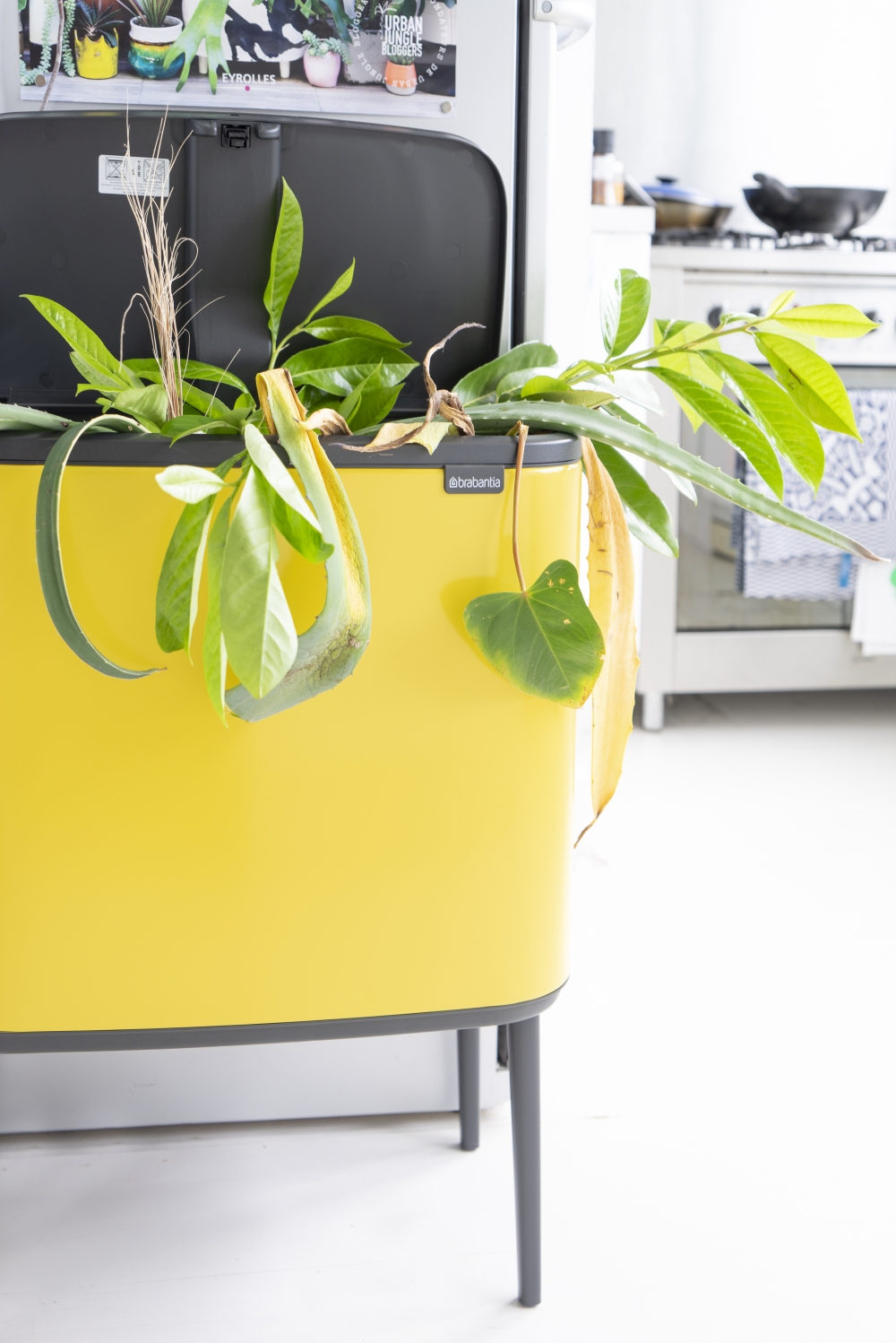 Urban Jungle Bloggers - Brabantia Bo Bin #urbanjunglebloggers #brabantiabo