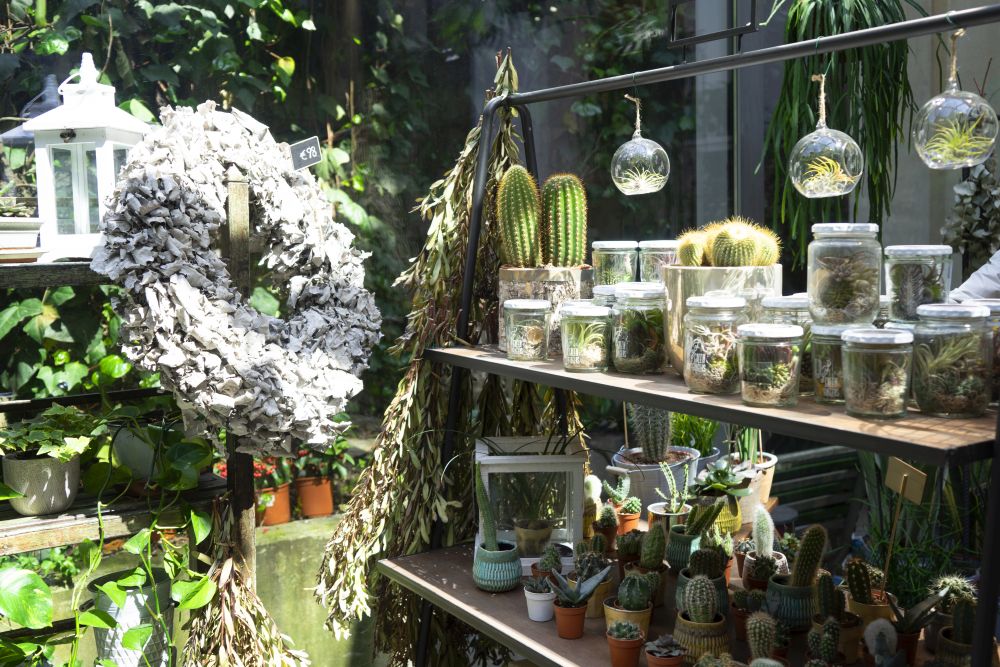 Urban Jungle Bloggers - Green Fingers plant shop at Woolrich in Milan #urbanjunglebloggers