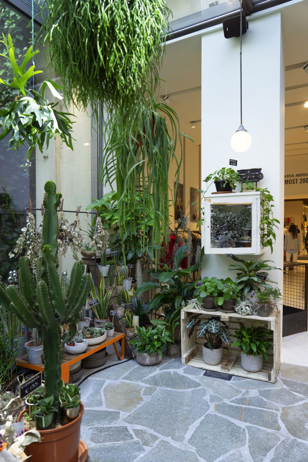 Urban Jungle Bloggers - Green Fingers plant shop at Woolrich in Milan #urbanjunglebloggers