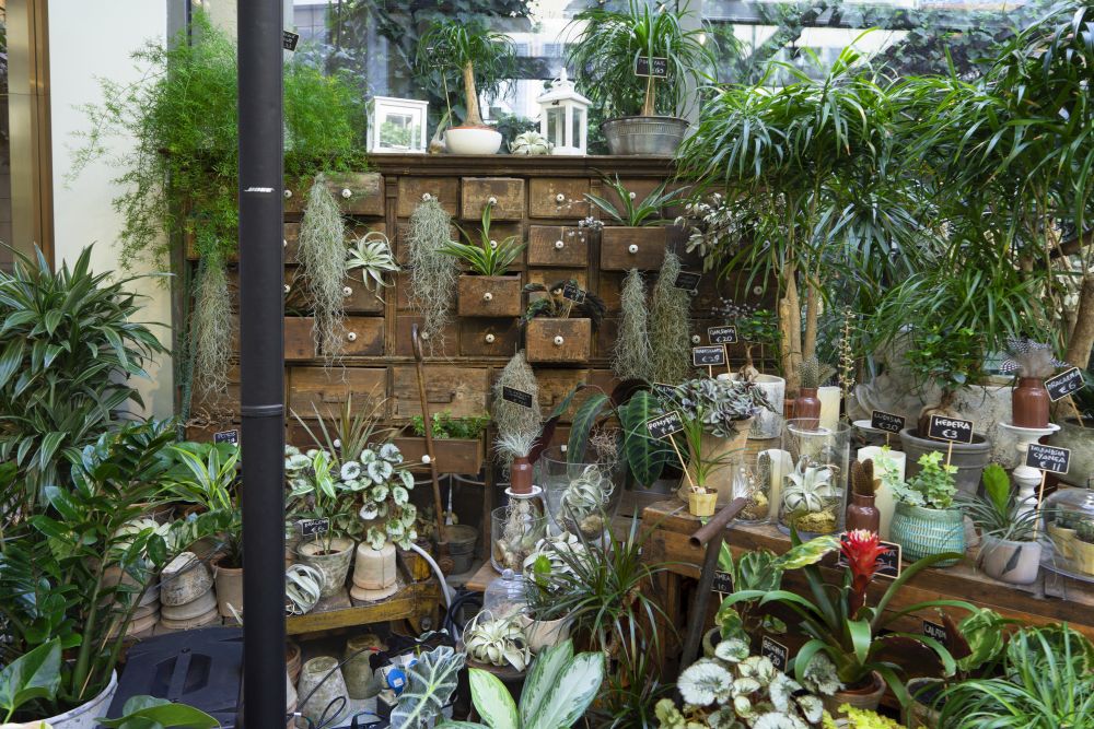 Urban Jungle Bloggers - Green Fingers plant shop at Woolrich in Milan #urbanjunglebloggers