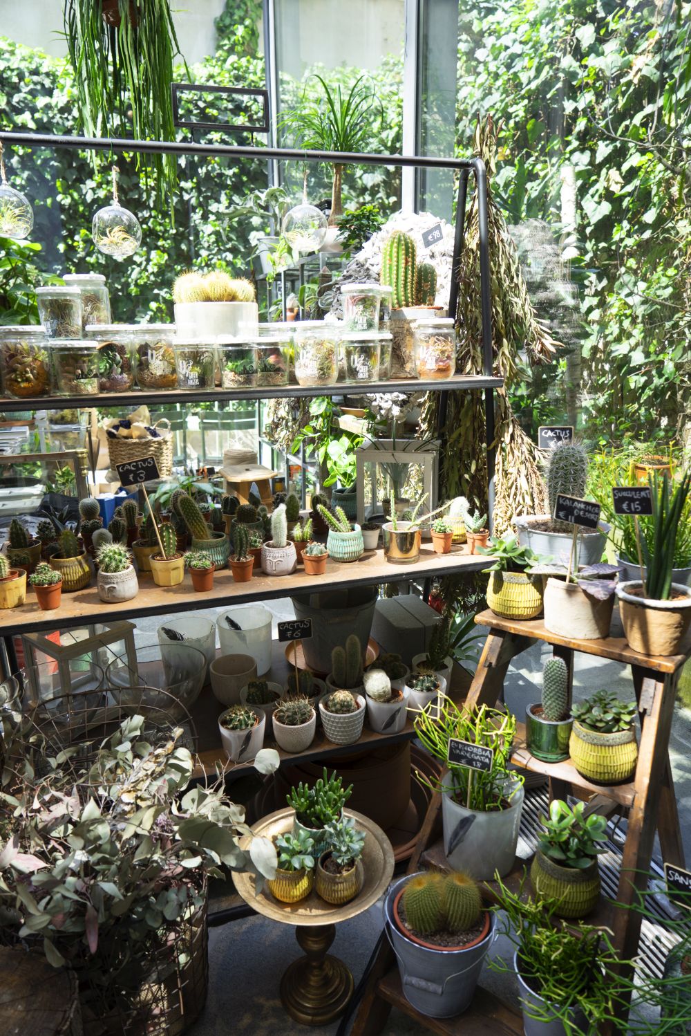 Urban Jungle Bloggers - Green Fingers plant shop at Woolrich in Milan #urbanjunglebloggers