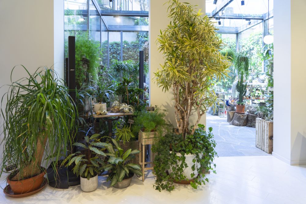 Urban Jungle Bloggers - Green Fingers plant shop at Woolrich in Milan #urbanjunglebloggers