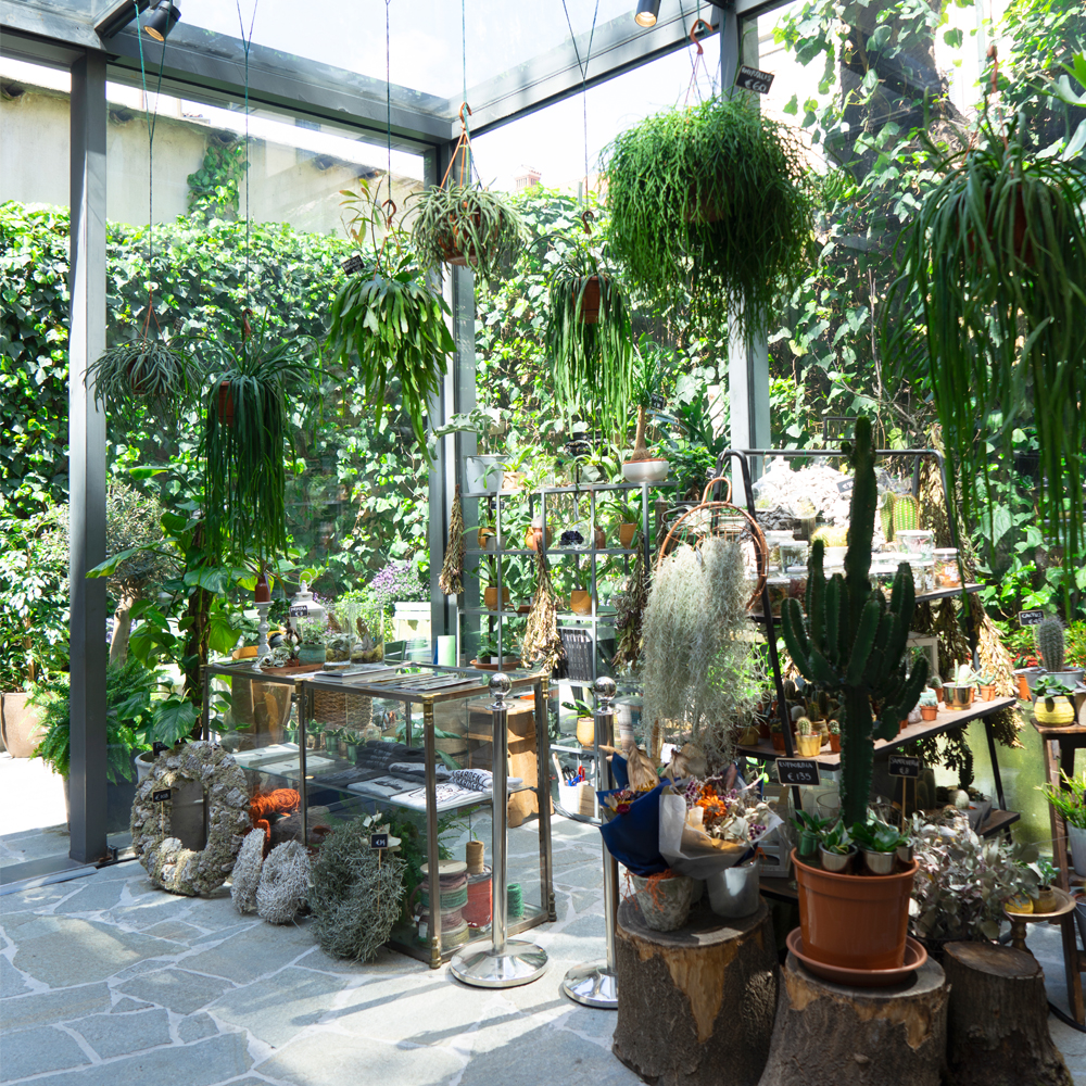 Urban Jungle Bloggers - Green Fingers plant shop at Woolrich in Milan #urbanjunglebloggers