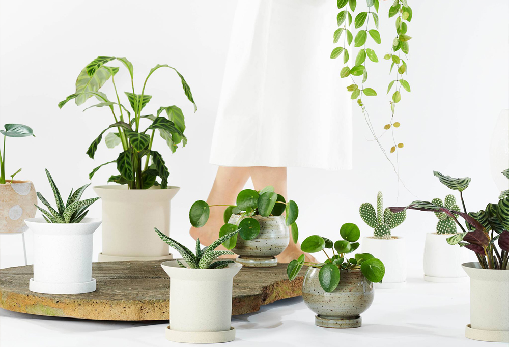 Urban Jungle Bloggers - Cool Plant Pots #urbanjunglebloggers