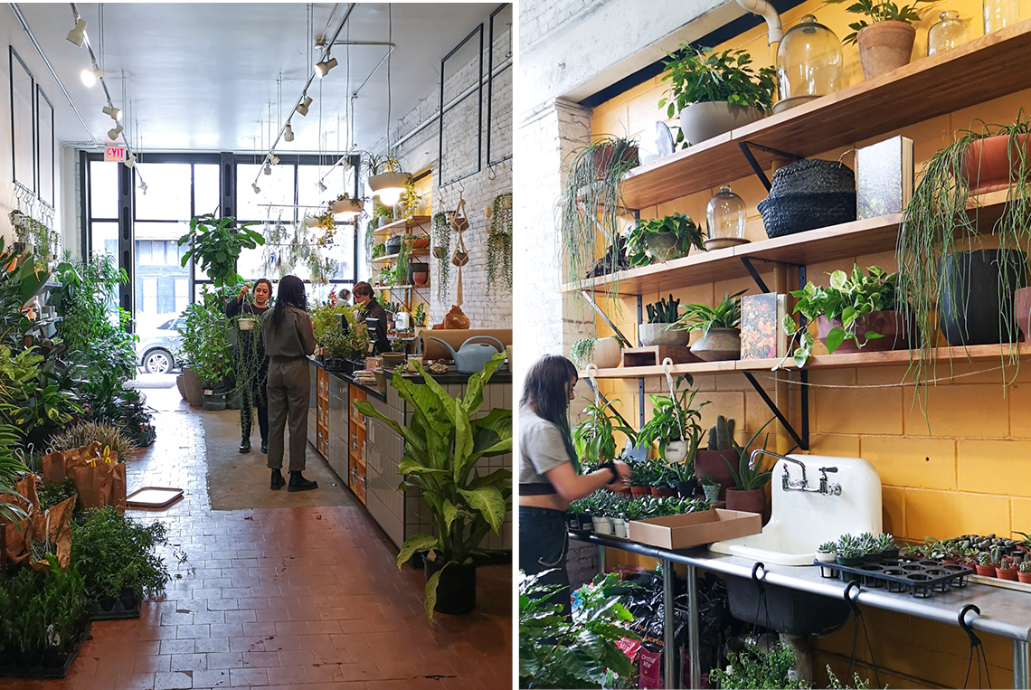 Urban Jungle Bloggers in NYC #urbanjunglebloggers #hotspot #nyc