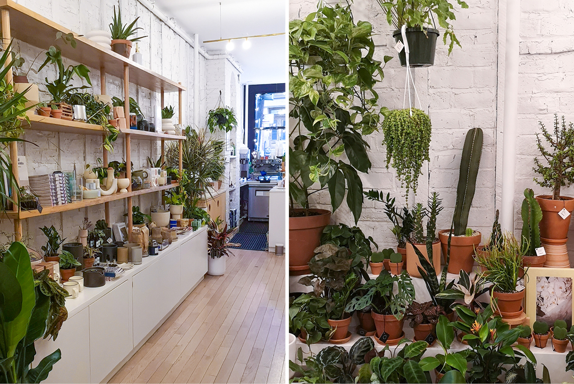 Urban Jungle Bloggers in NYC #urbanjunglebloggers #hotspot #nyc