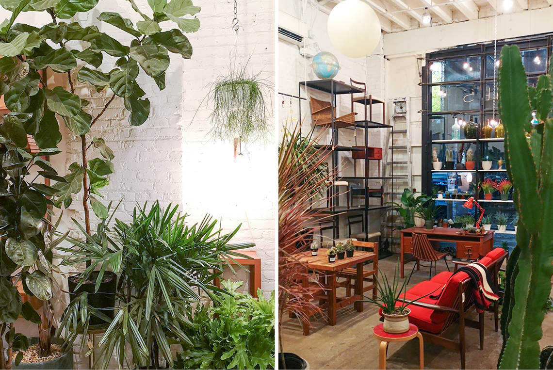 Urban Jungle Bloggers in NYC #urbanjunglebloggers #hotspot #nyc