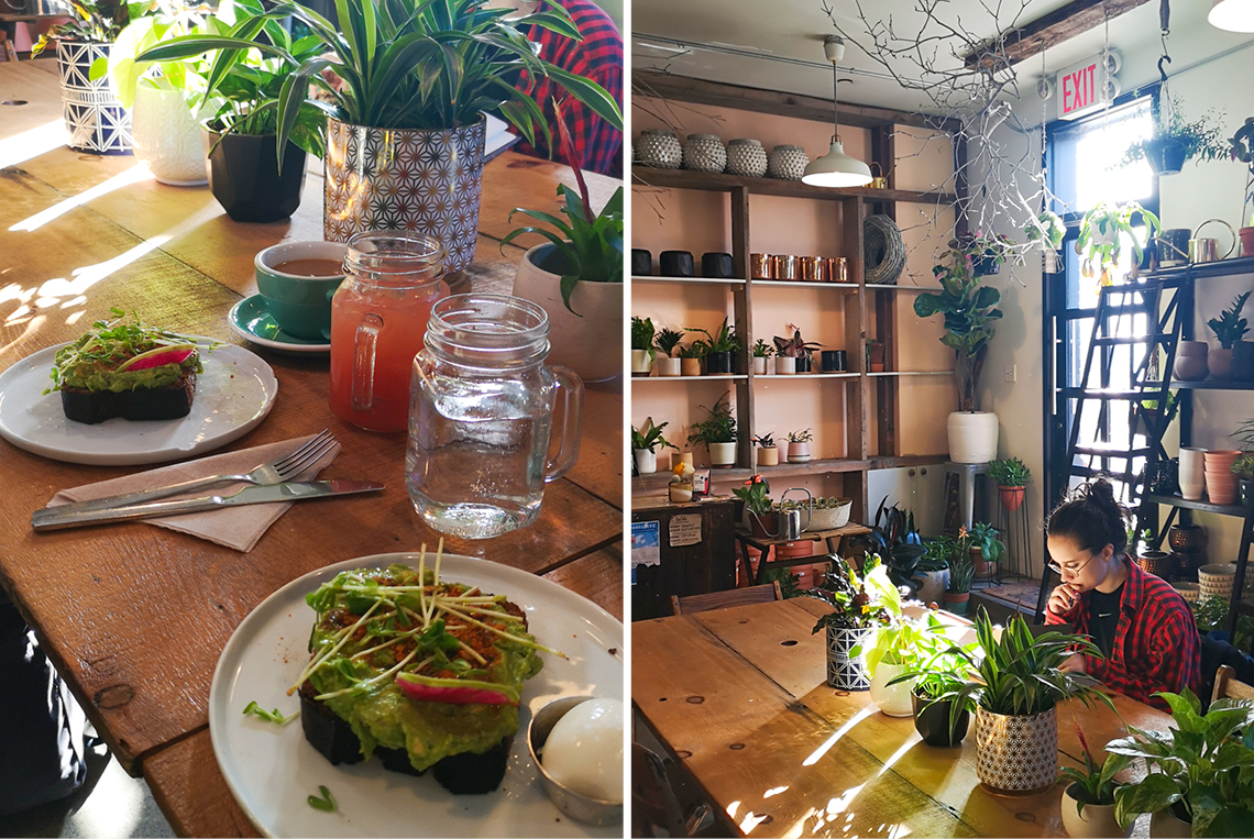 Urban Jungle Bloggers in NYC #urbanjunglebloggers #hotspot #nyc