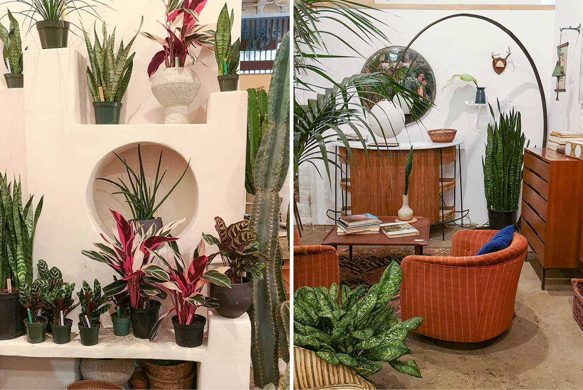 Urban Jungle Bloggers in NYC #urbanjunglebloggers #hotspot #nyc